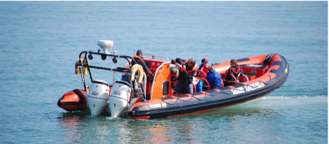 Dover Sea Safari